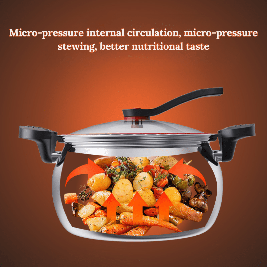 Multi-Use Micro-Pressure Cooker with Handle