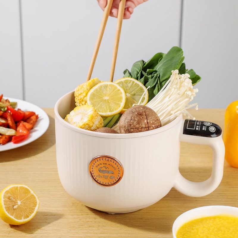 Compact All-in-One Electric Cooker