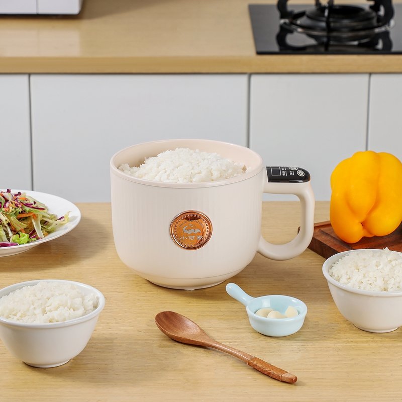 Compact All-in-One Electric Cooker